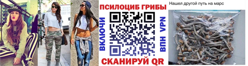 Галлюциногенные грибы ЛСД  сколько стоит  Кинешма 