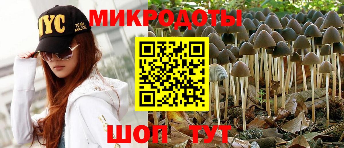 Псилоцибиновые грибы мухоморы Кинешма