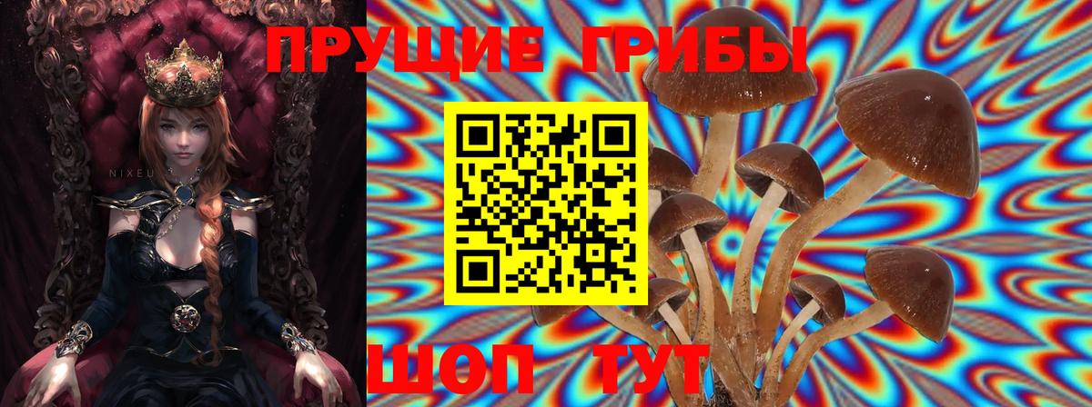 Галлюциногенные грибы ЛСД  Вход с VPN  Кинешма 